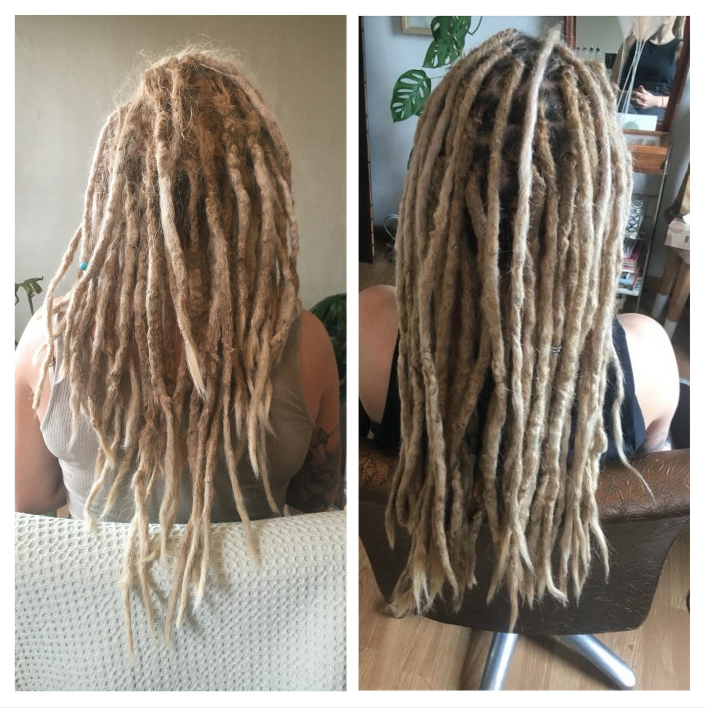 Holi Dreadlocks | Dreadlock Onderhoud / Dreads Bijwerken €55 per uur [voorschotbedrag €55]