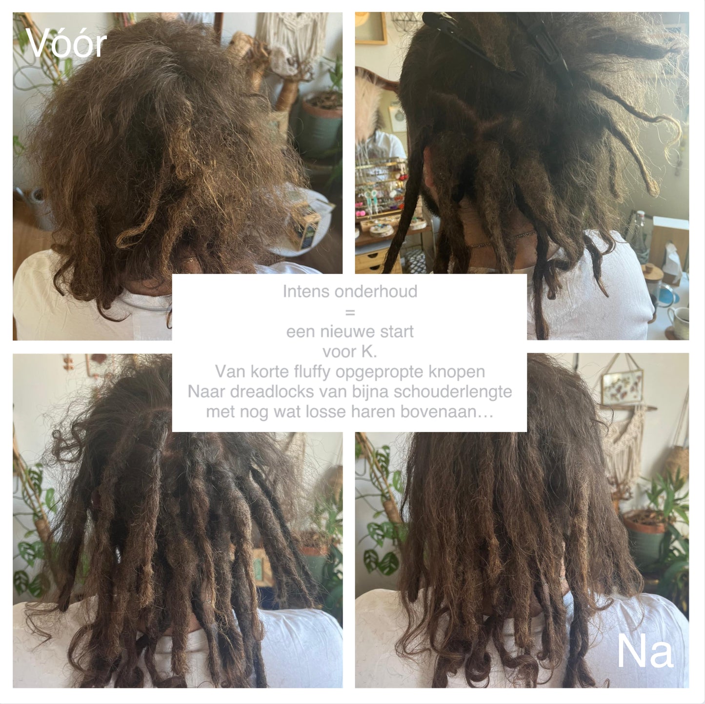 Holi Dreadlocks | Dreadlock Onderhoud / Dreads Bijwerken €55 per uur [voorschotbedrag €55]