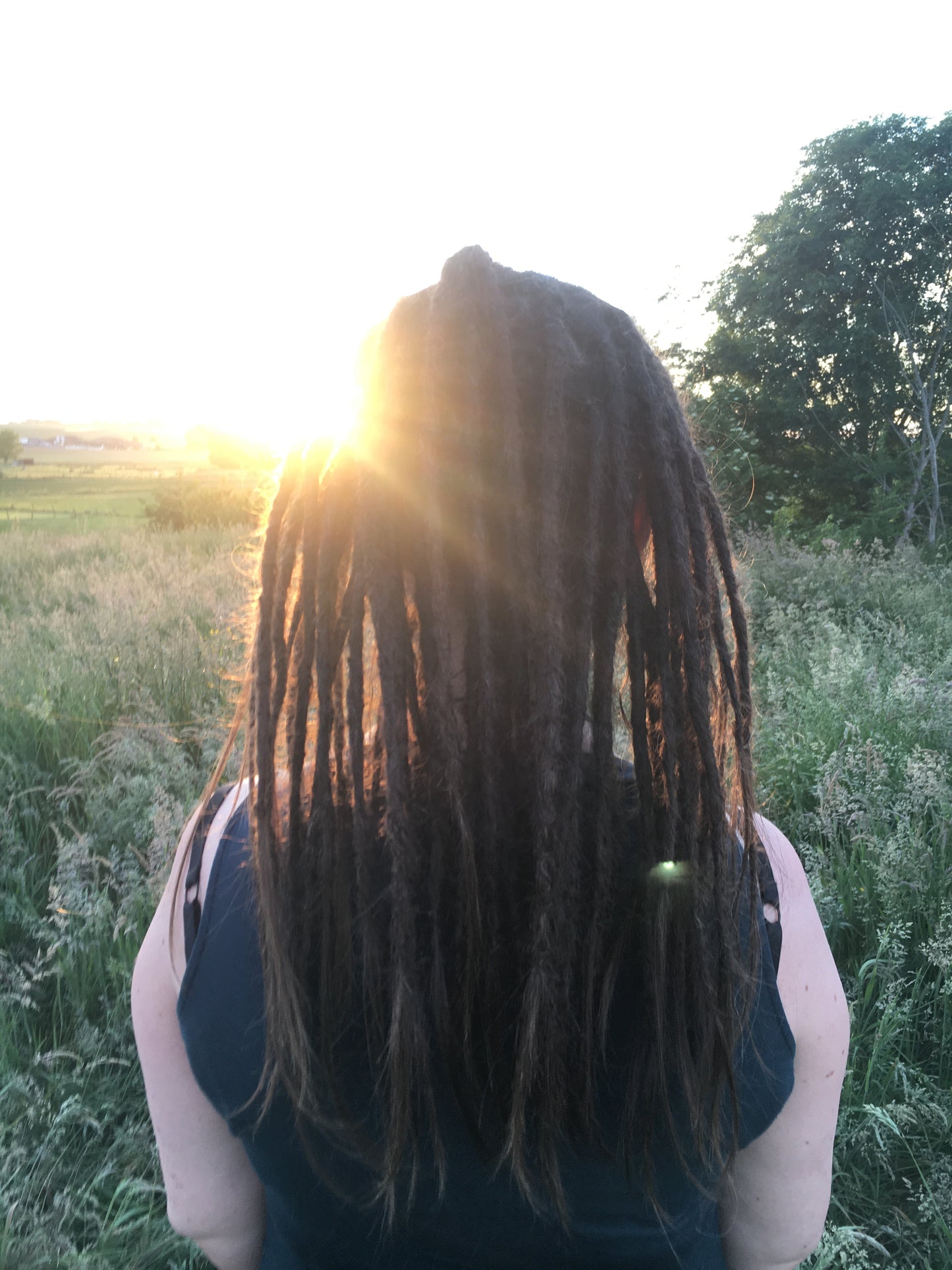 Holi Dreadlocks | Volledig hoofd locs met of zonder verlengingen [voorschotbedrag €120]