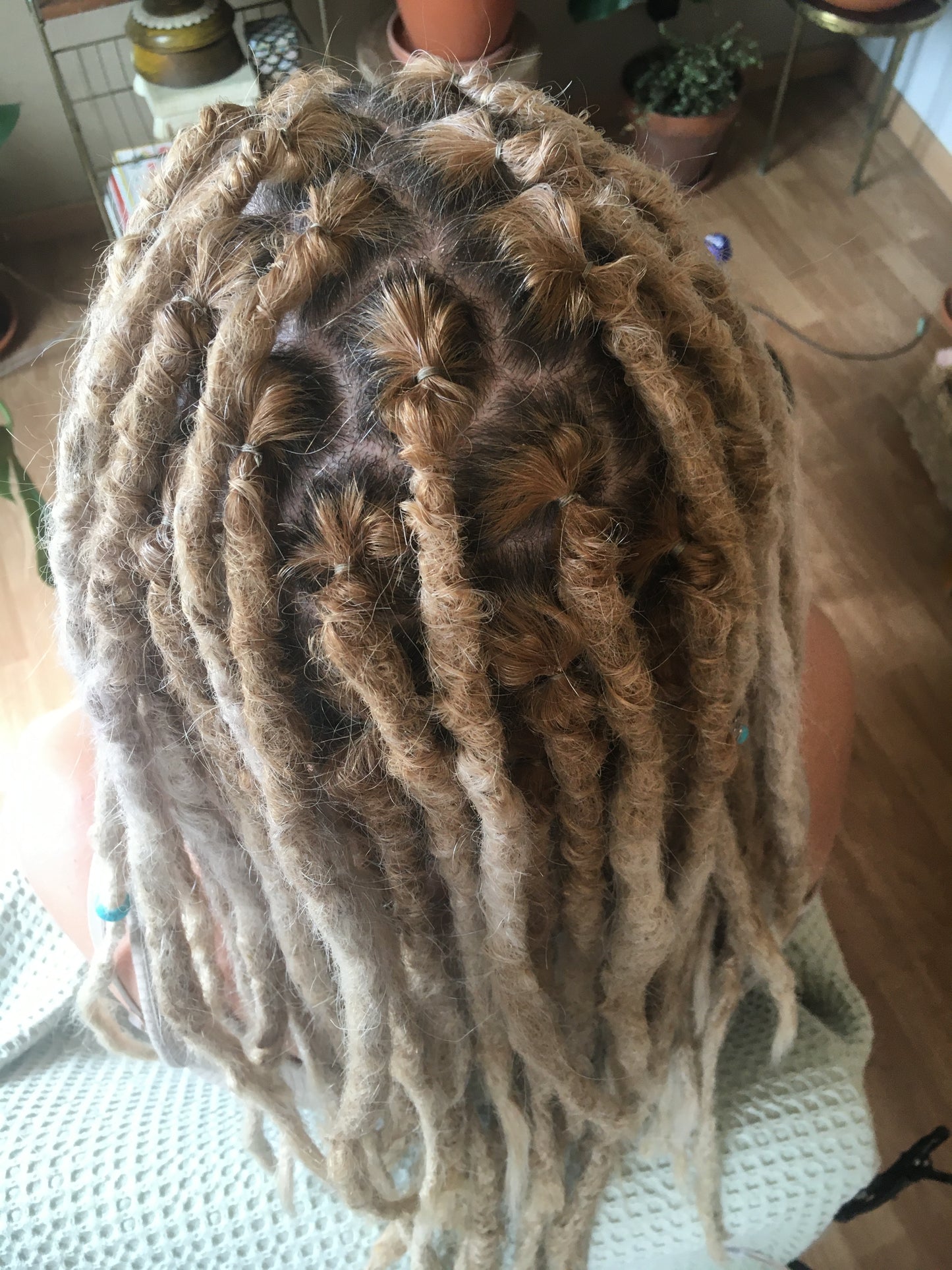 Holi Dreadlocks | Dreadlock Onderhoud / Dreads Bijwerken €55 per uur [voorschotbedrag €55]